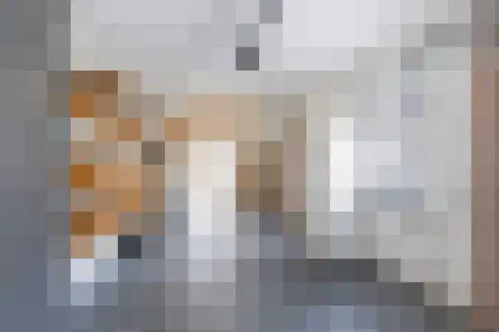 Nieuweweg 37 Honselersdijk thumbnail 85