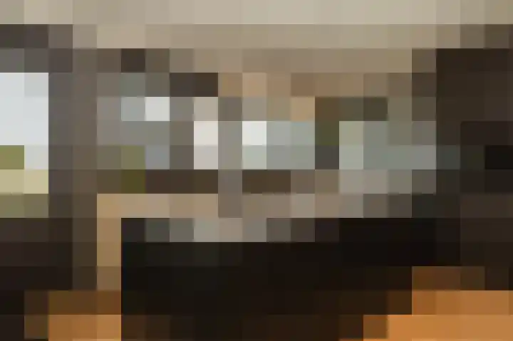 Nieuweweg 4 a Heukelum thumbnail 13