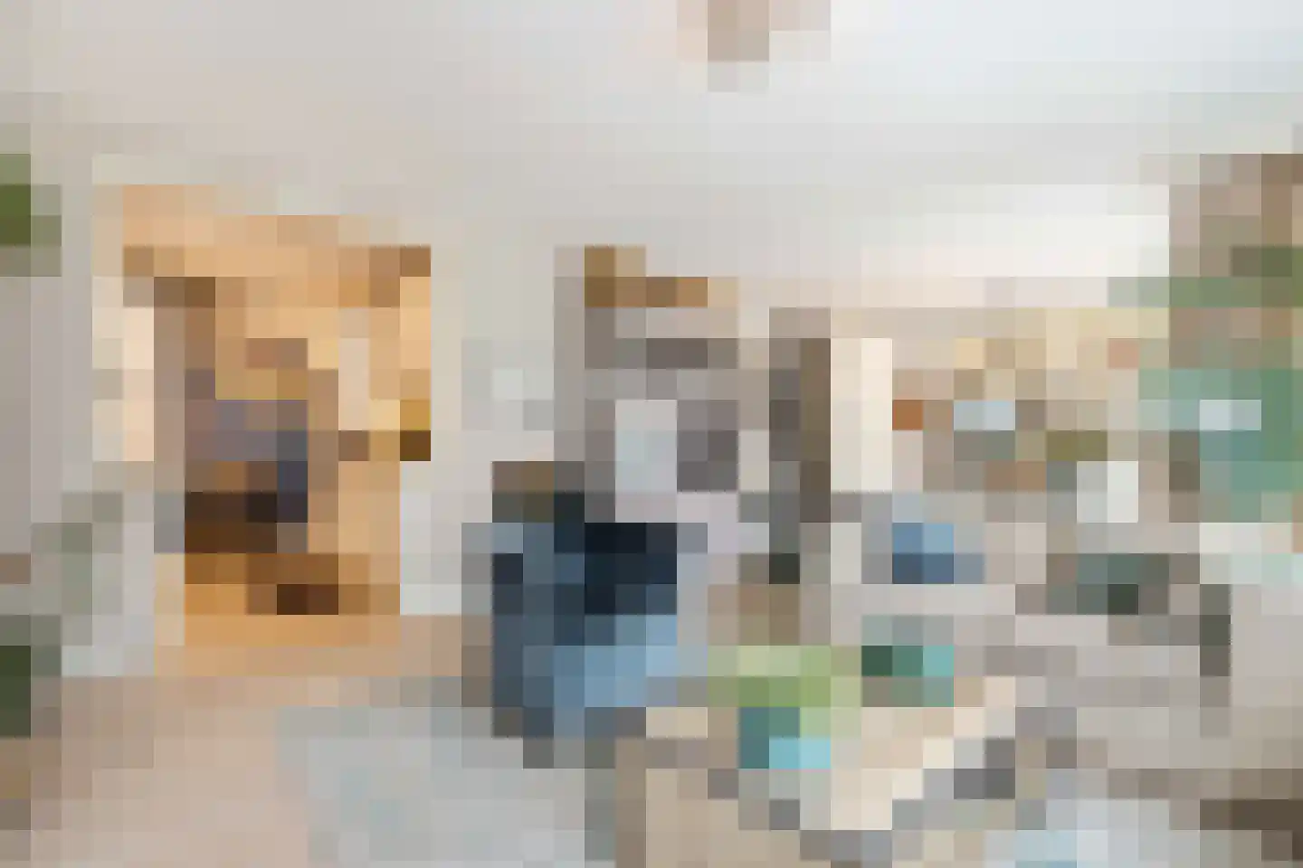 Nieuweweg 4 a Laren thumbnail 19