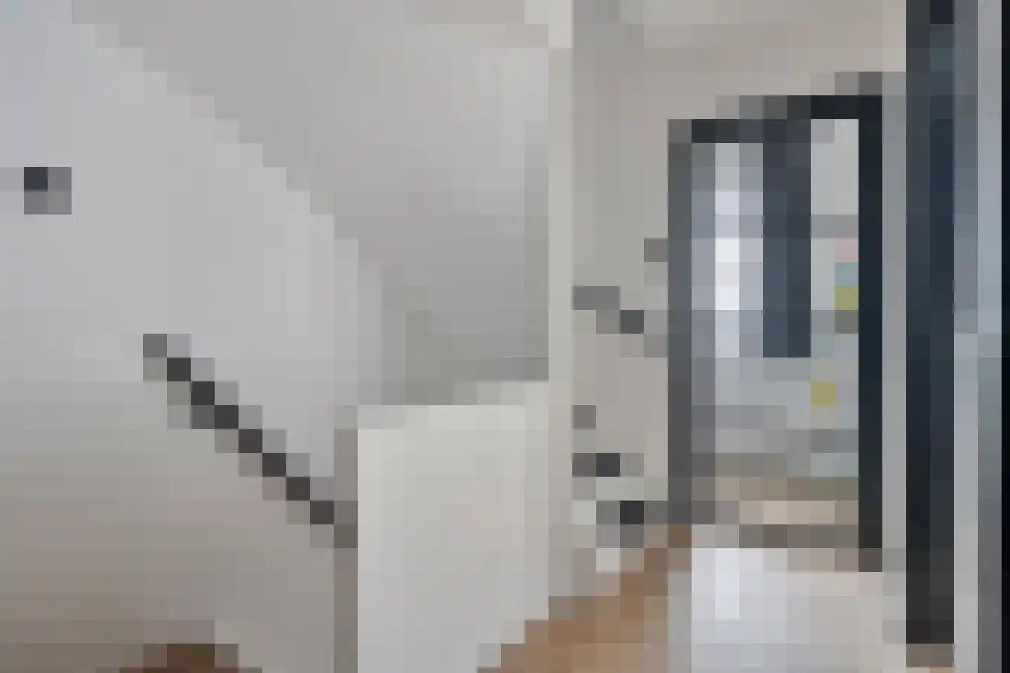 Nieuweweg 4 Hulst thumbnail 26