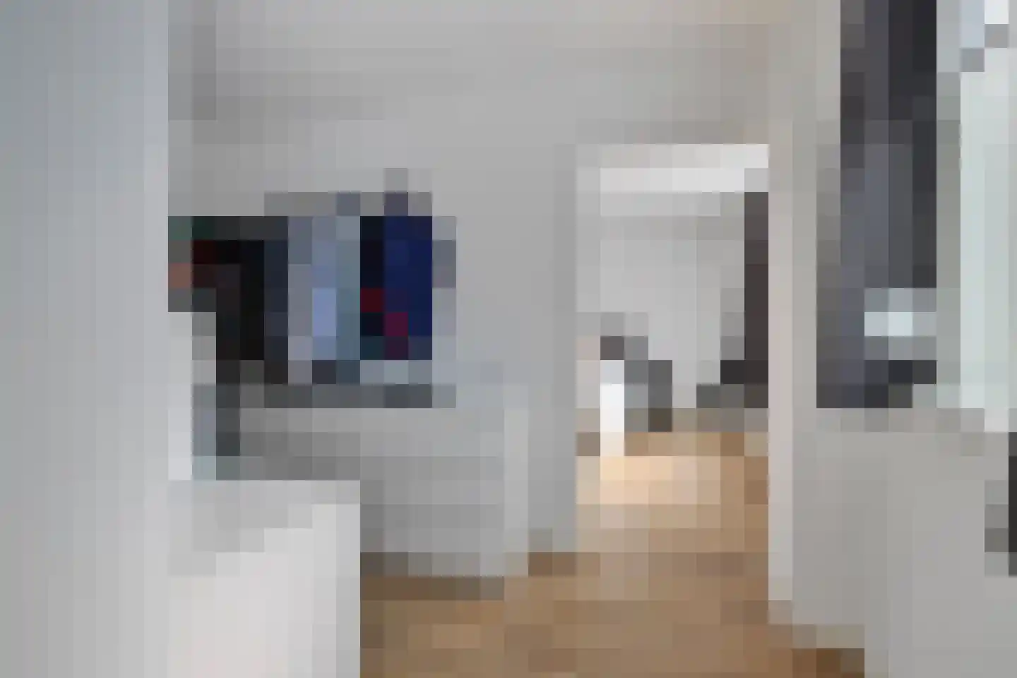 Nieuweweg 4 Hulst thumbnail 31