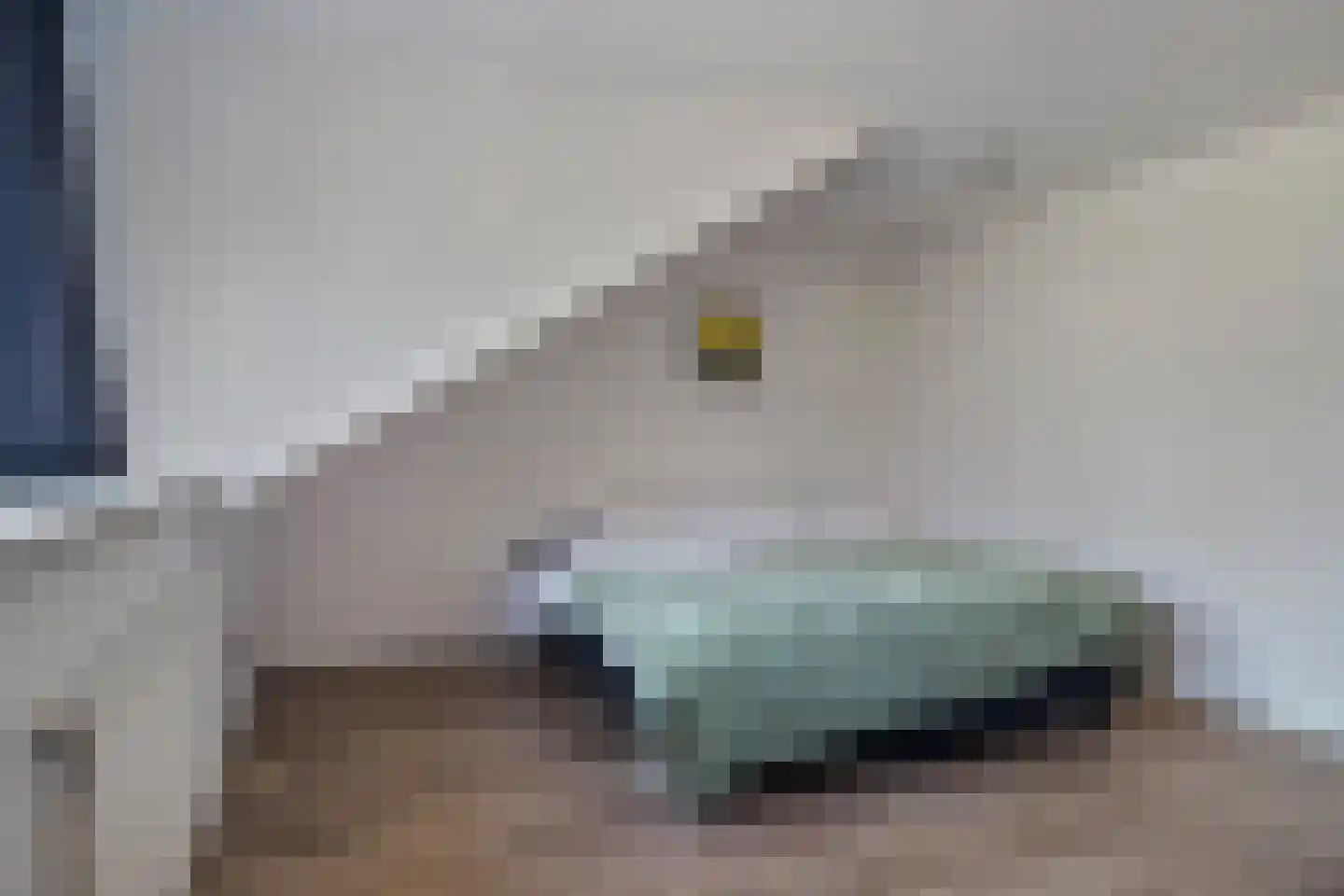 Nieuweweg 4 Hulst thumbnail 44
