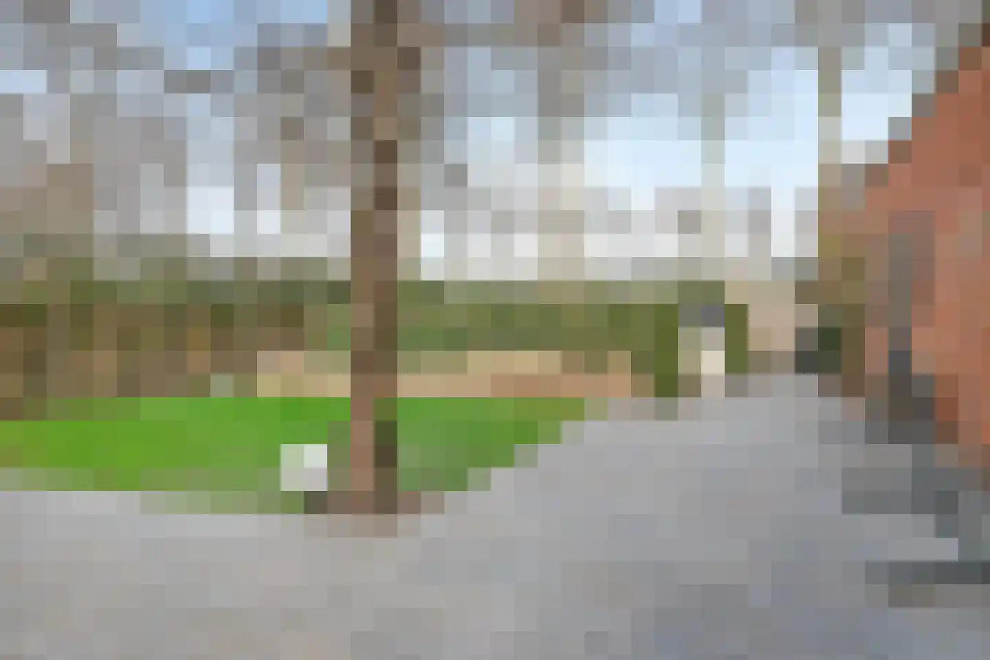 Nieuweweg 4 Hulst thumbnail 52