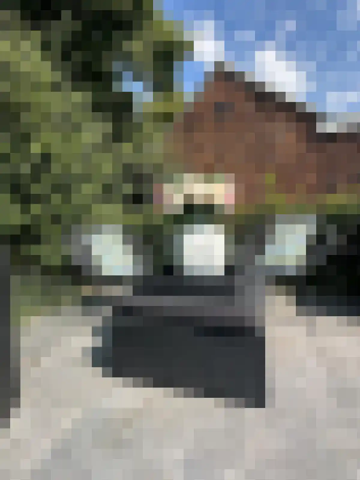 Nieuweweg 4 Hulst thumbnail 57
