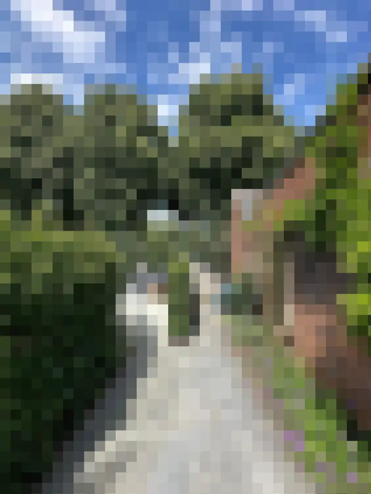 Nieuweweg 4 Hulst thumbnail 58