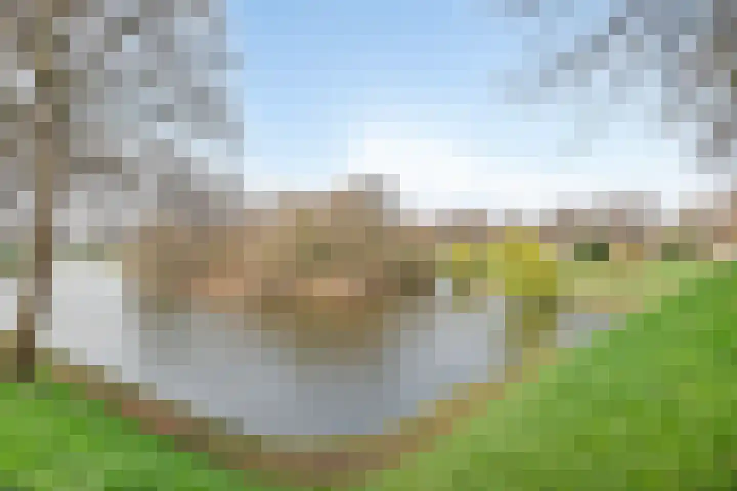 Nieuweweg 4 Hulst thumbnail 61