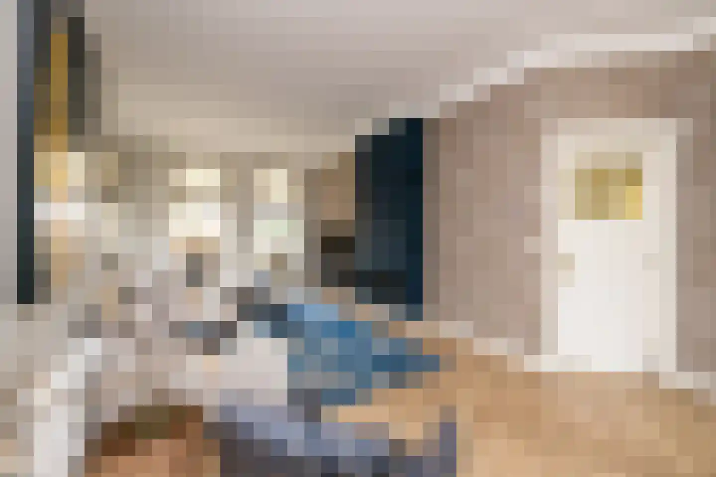 Nieuweweg 41 Honselersdijk thumbnail 13