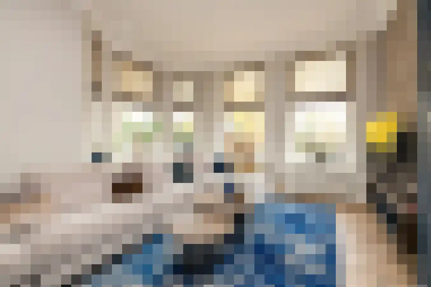 Nieuweweg 41 Honselersdijk thumbnail 15