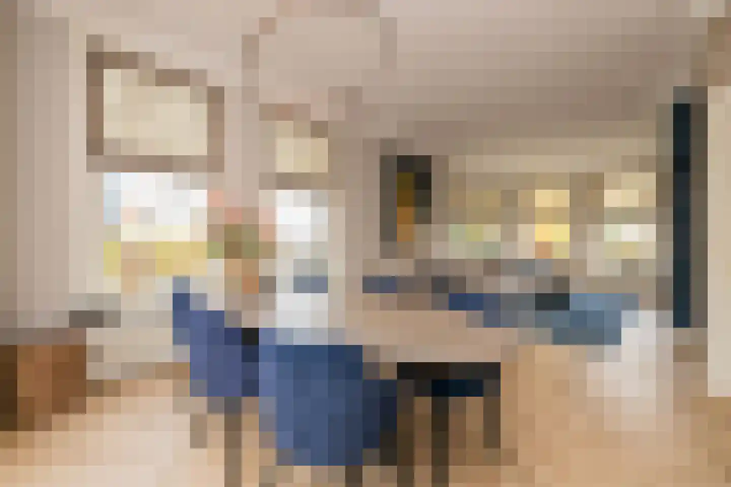 Nieuweweg 41 Honselersdijk thumbnail 19
