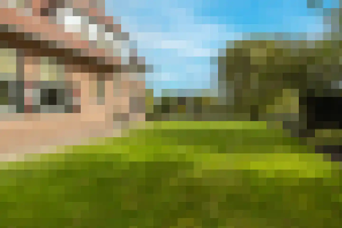 Nieuweweg 41 Honselersdijk thumbnail 29