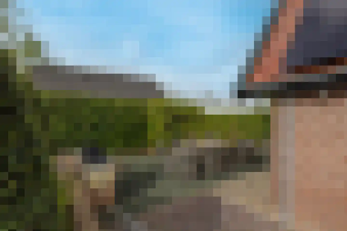Nieuweweg 41 Honselersdijk thumbnail 35