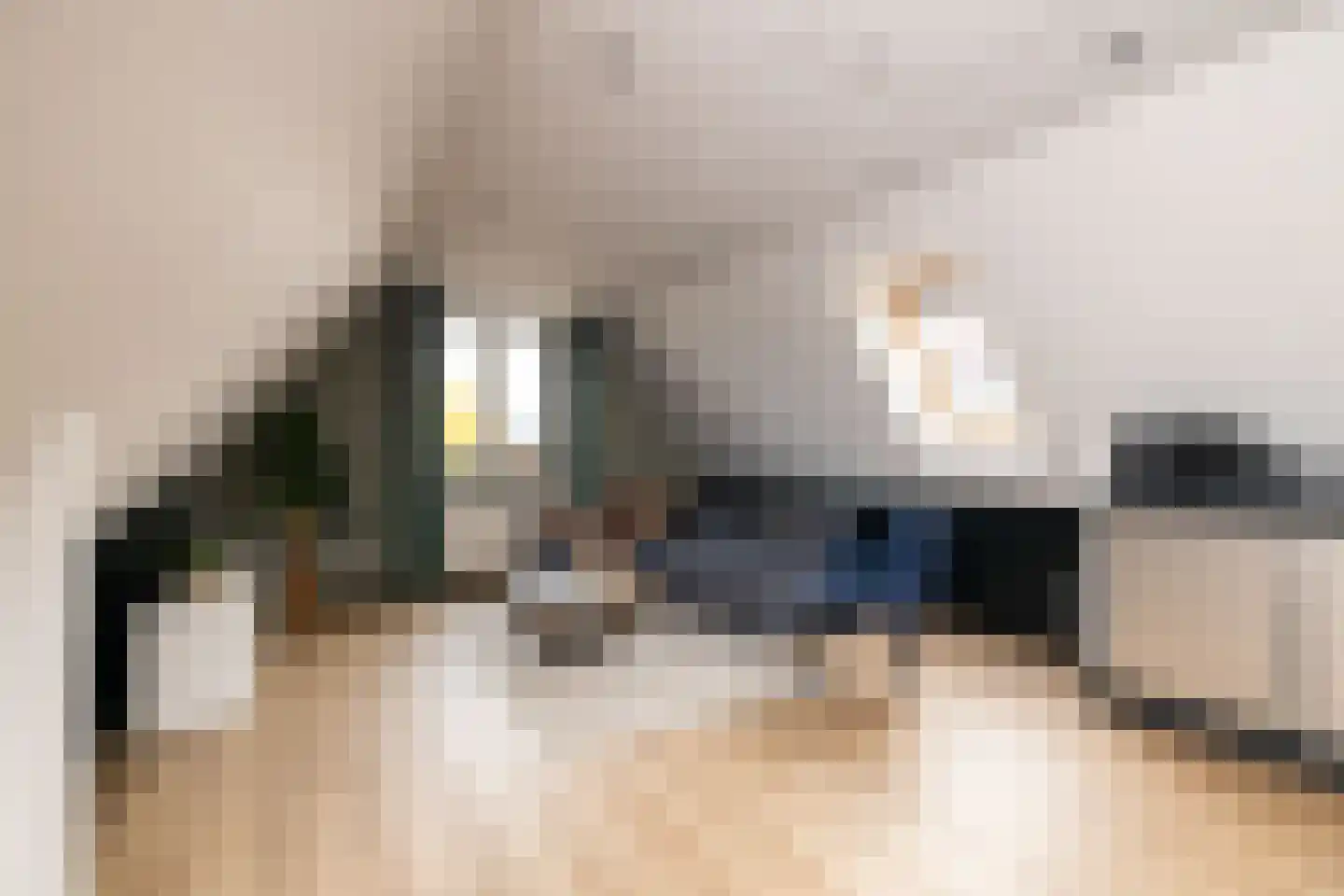 Nieuweweg 41 Honselersdijk thumbnail 57