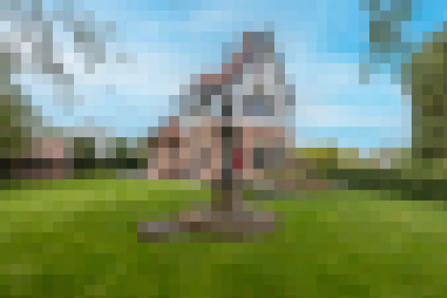 Nieuweweg 41 Honselersdijk thumbnail 62