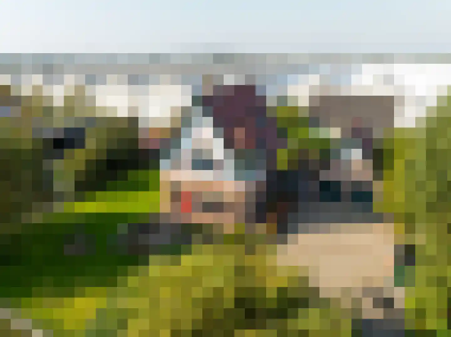 Nieuweweg 41 Honselersdijk thumbnail 65