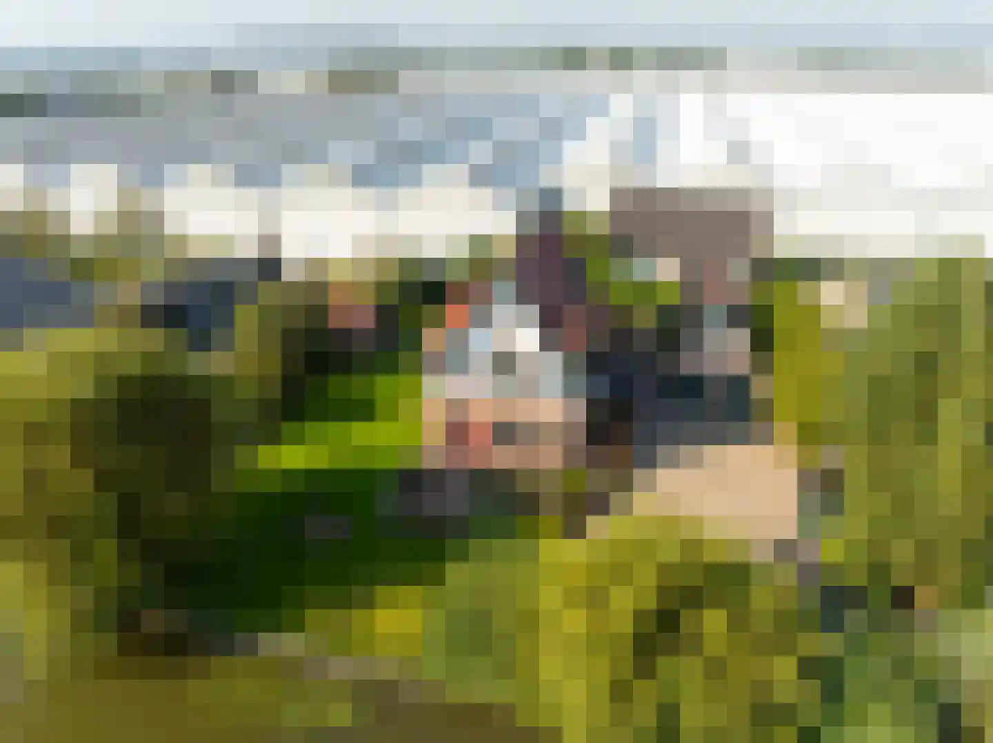 Nieuweweg 41 Honselersdijk thumbnail 67