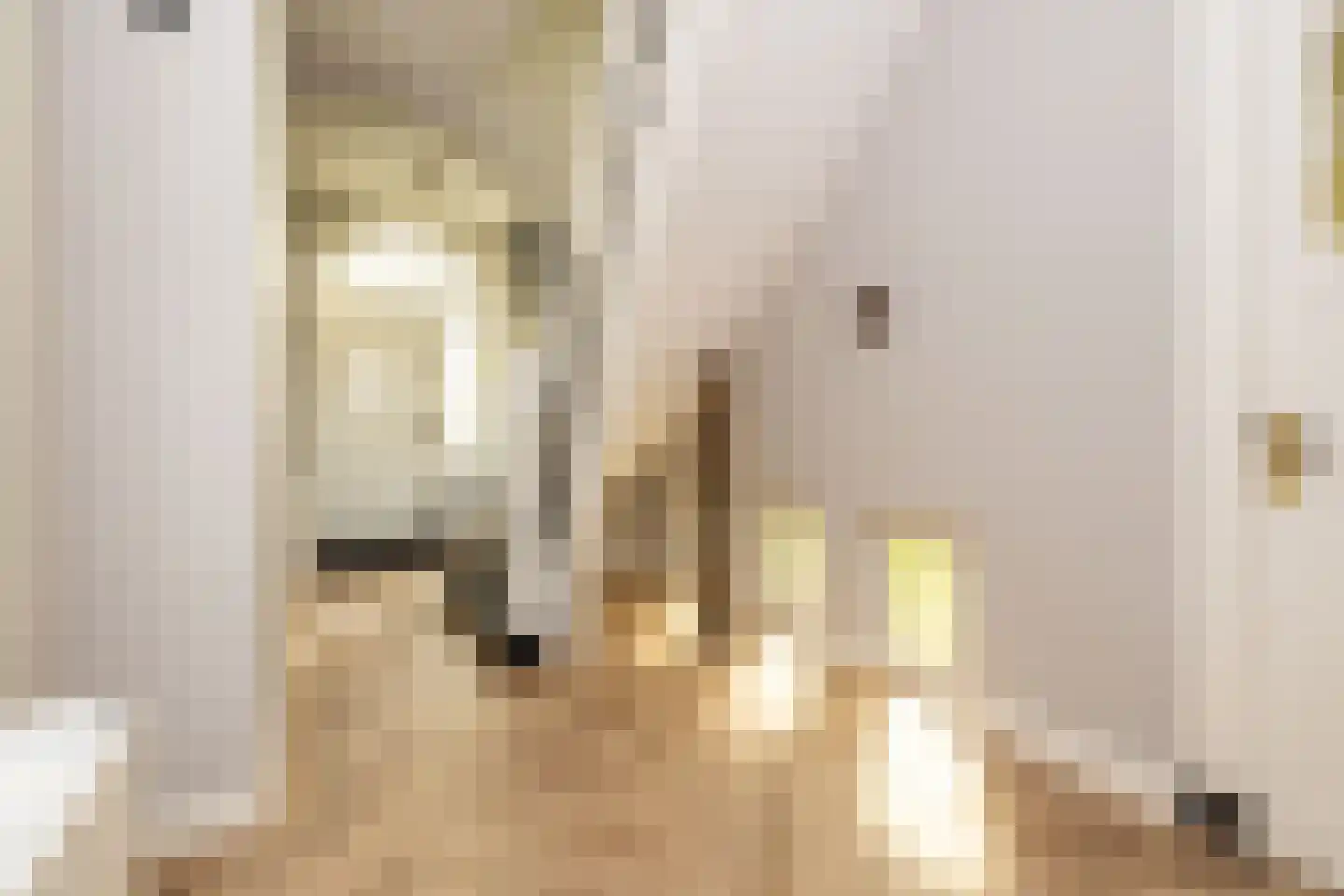 Nieuweweg 41 Honselersdijk thumbnail 9
