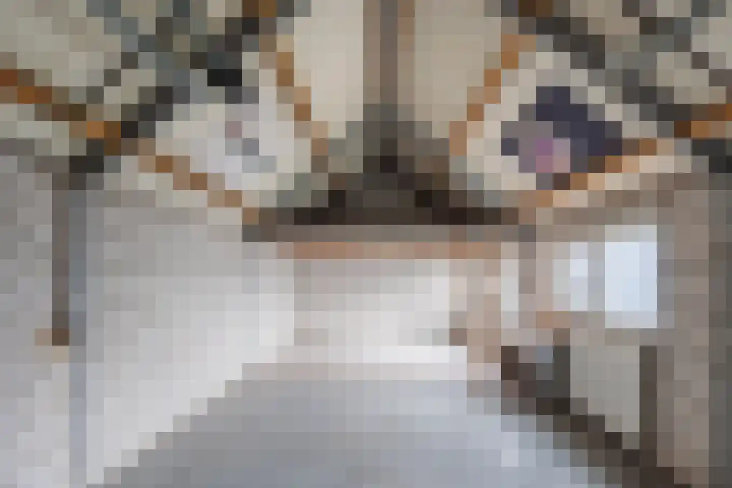 Nieuweweg 42 Siebengewald thumbnail 31