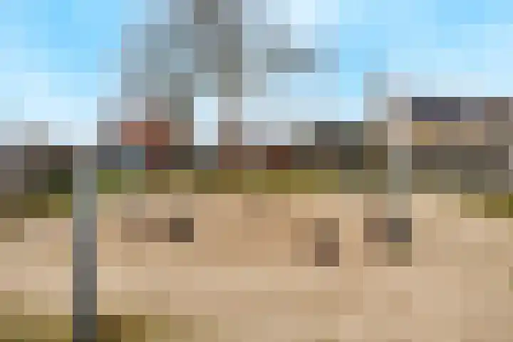 Nieuweweg 42 Siebengewald thumbnail 51