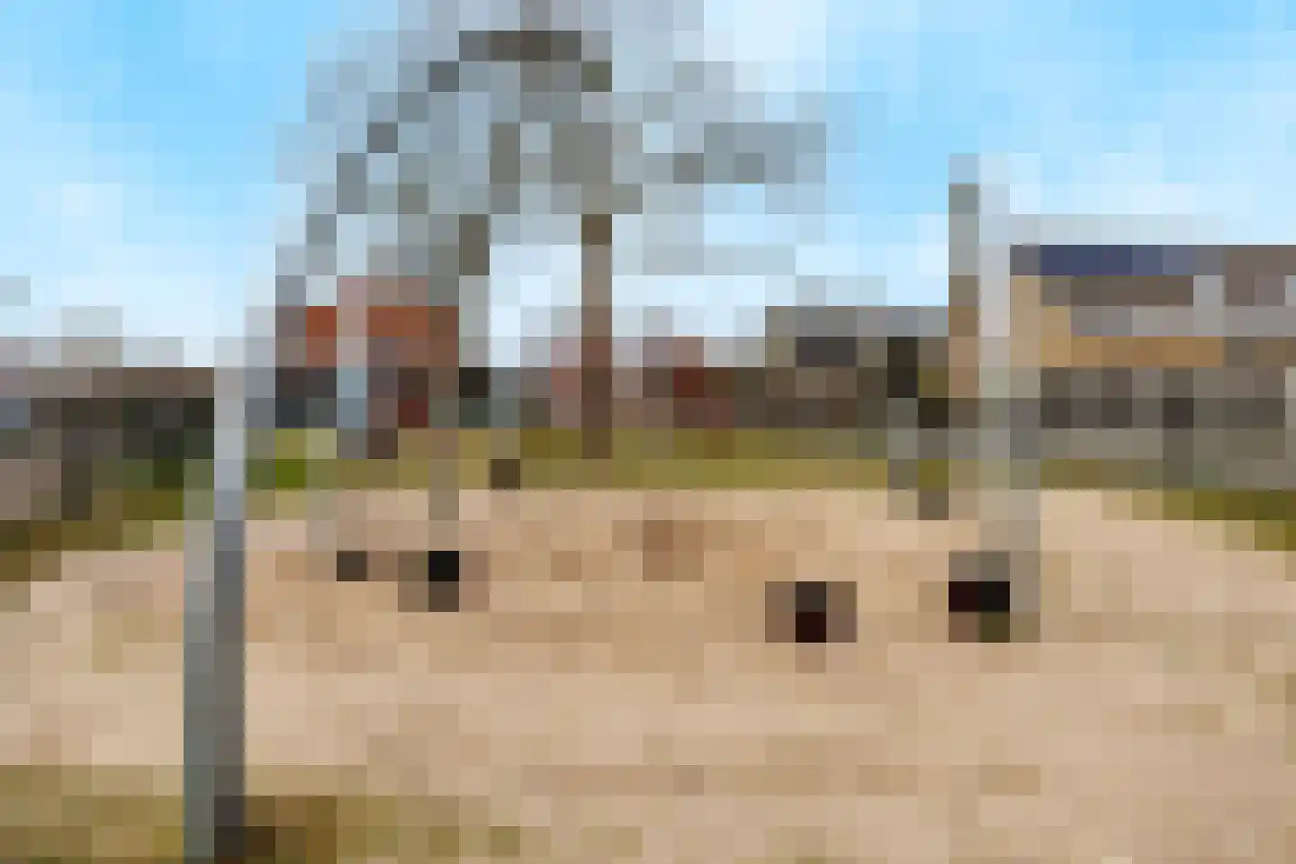Nieuweweg 42 Siebengewald thumbnail 51