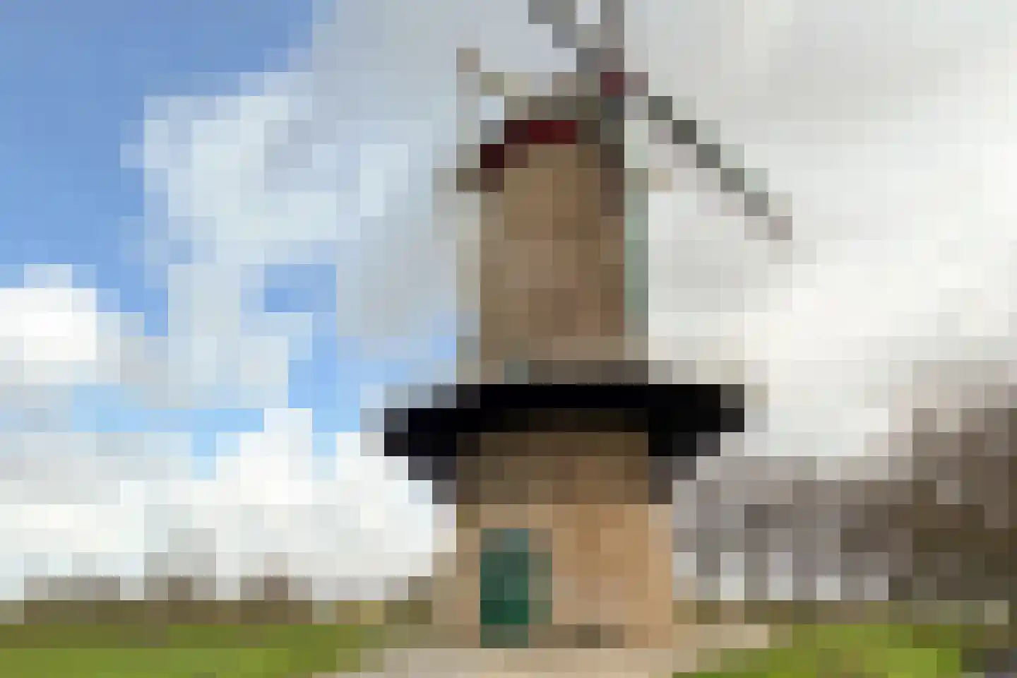 Nieuweweg 44 A Hulst thumbnail 40