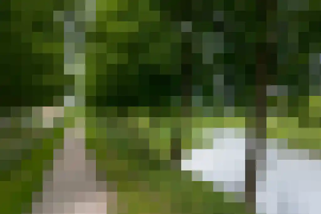 Nieuweweg 44 A Hulst thumbnail 8