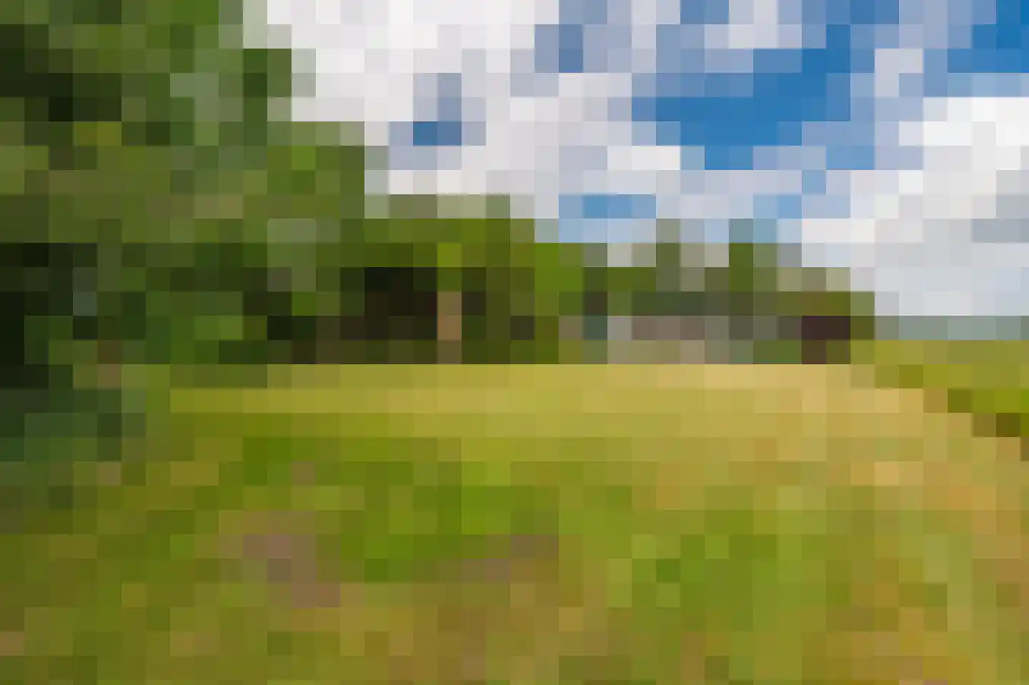 Nieuweweg 45 Bellingwolde thumbnail 22