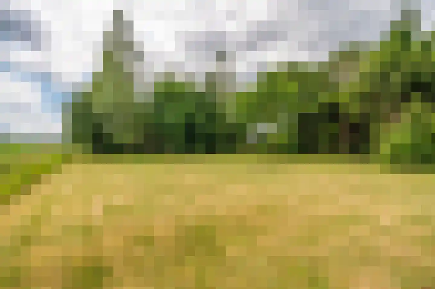 Nieuweweg 45 Bellingwolde thumbnail 23