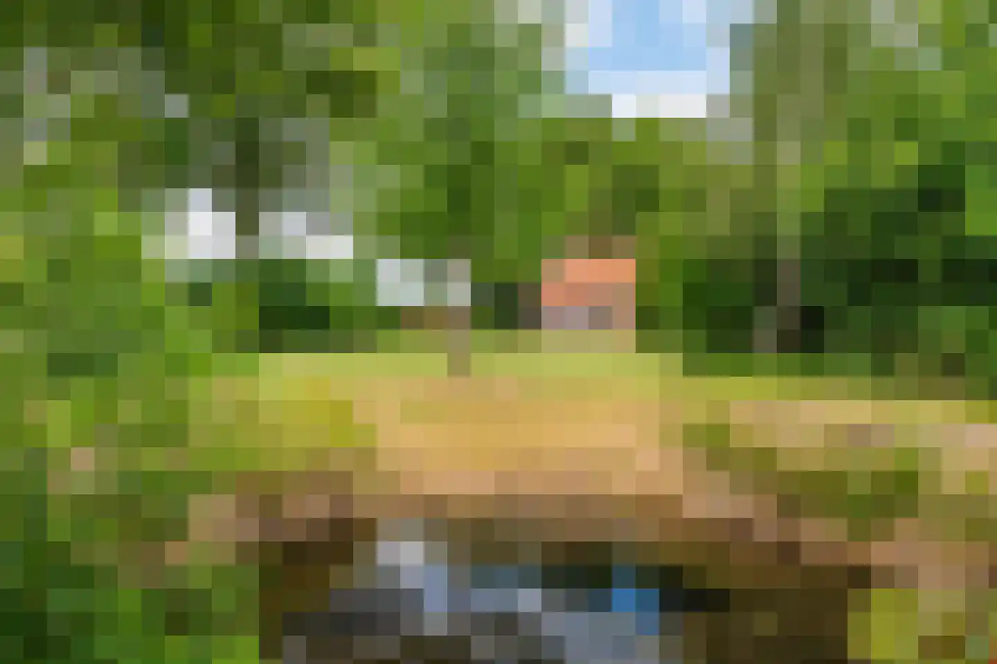 Nieuweweg 45 Bellingwolde thumbnail 26