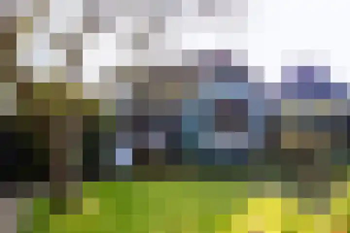 Nieuweweg 45 Eemnes thumbnail 4