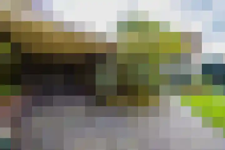 Nieuweweg 45 Eemnes thumbnail 6