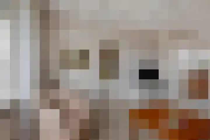 Nieuweweg 45 Hoogkarspel thumbnail 12