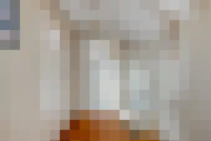 Nieuweweg 45 Hoogkarspel thumbnail 26