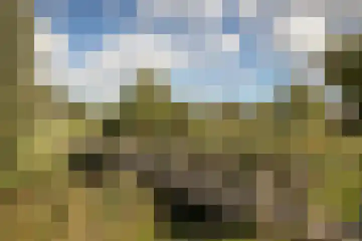Nieuweweg 45 Hoogkarspel thumbnail 65