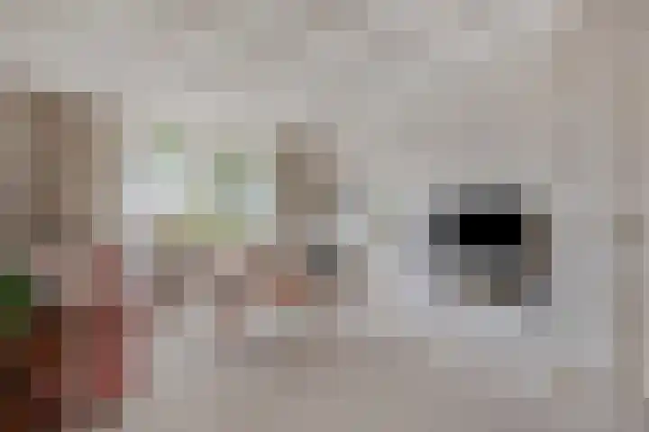 Nieuweweg 45 Hoogkarspel thumbnail 8