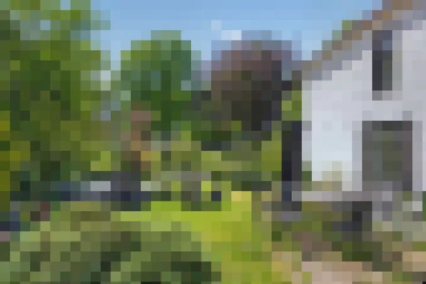 Nieuweweg 46 Veenendaal thumbnail 25