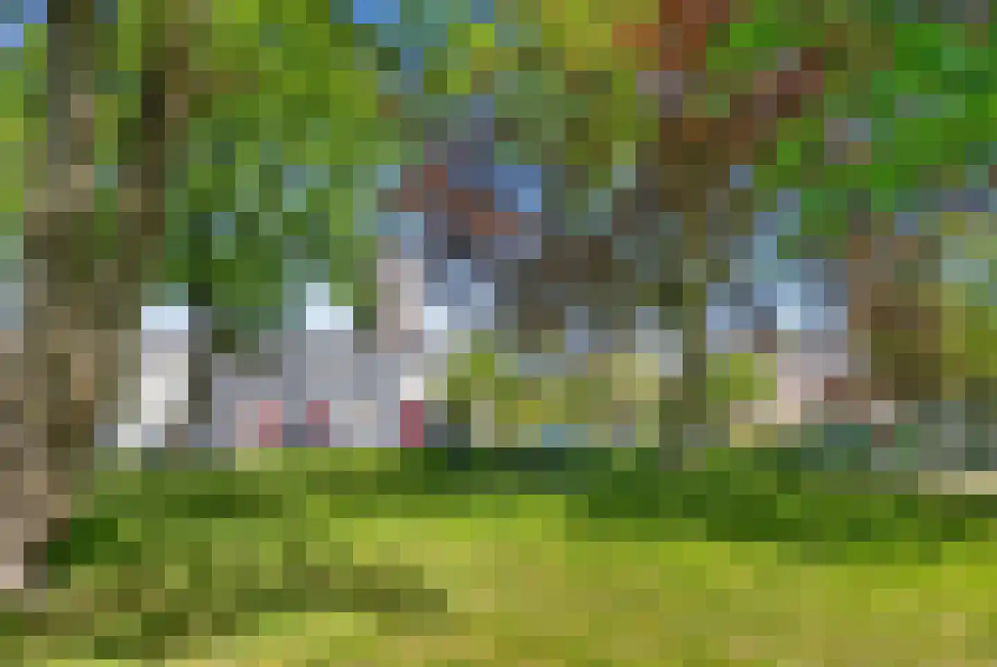 Nieuweweg 46 Veenendaal thumbnail 27