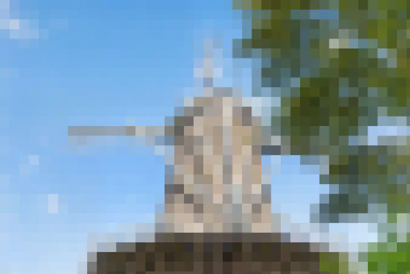 Nieuweweg 46 Veenendaal thumbnail 30