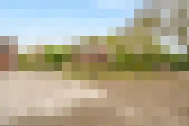 Nieuweweg 47 Bellingwolde thumbnail 10