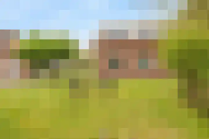 Nieuweweg 47 Bellingwolde thumbnail 12