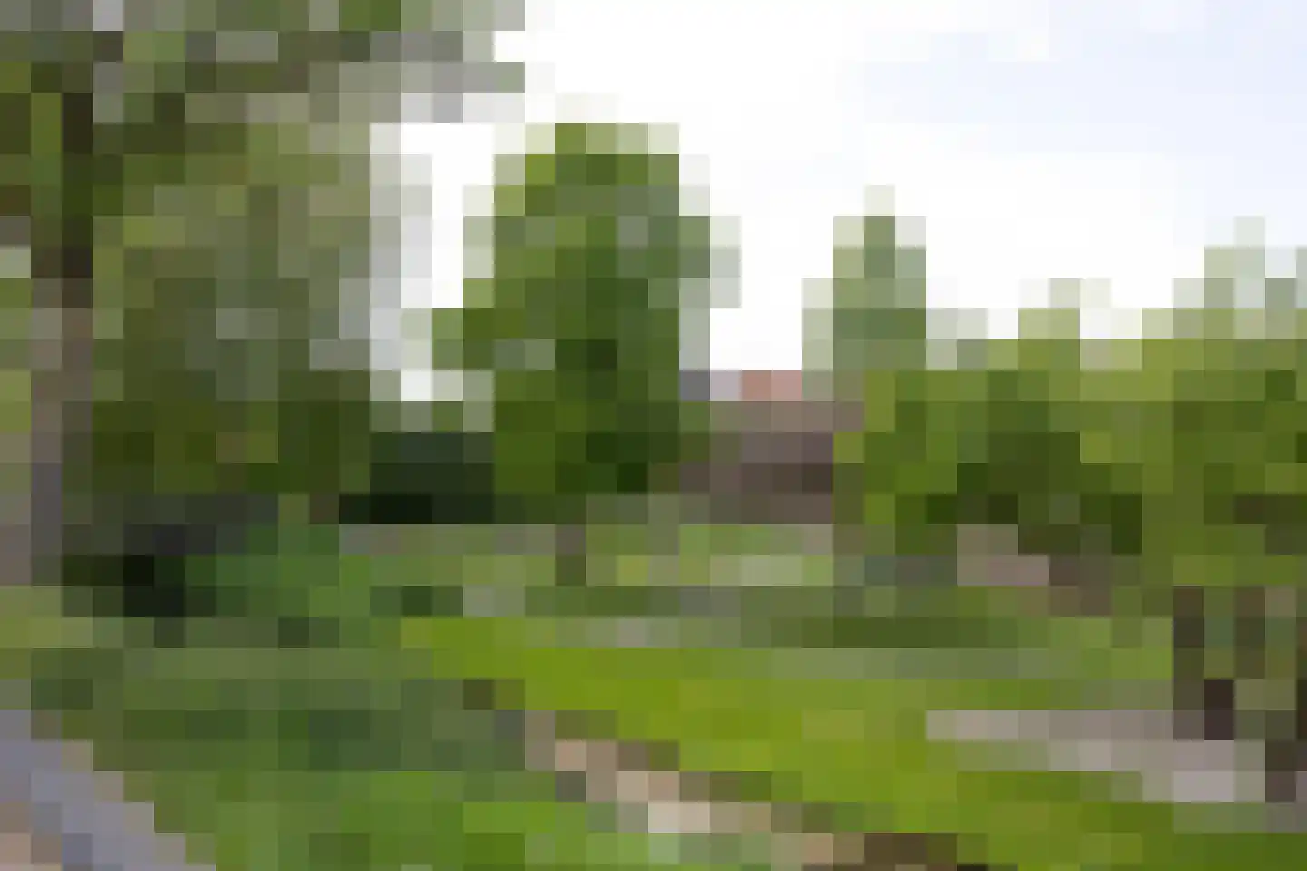 Nieuweweg 49 Hattem thumbnail 38