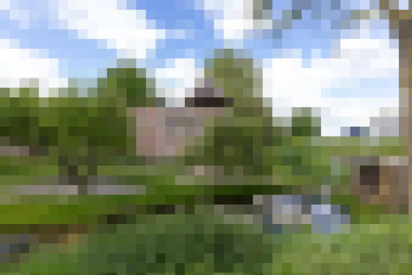 Nieuweweg 49 Hattem thumbnail 41
