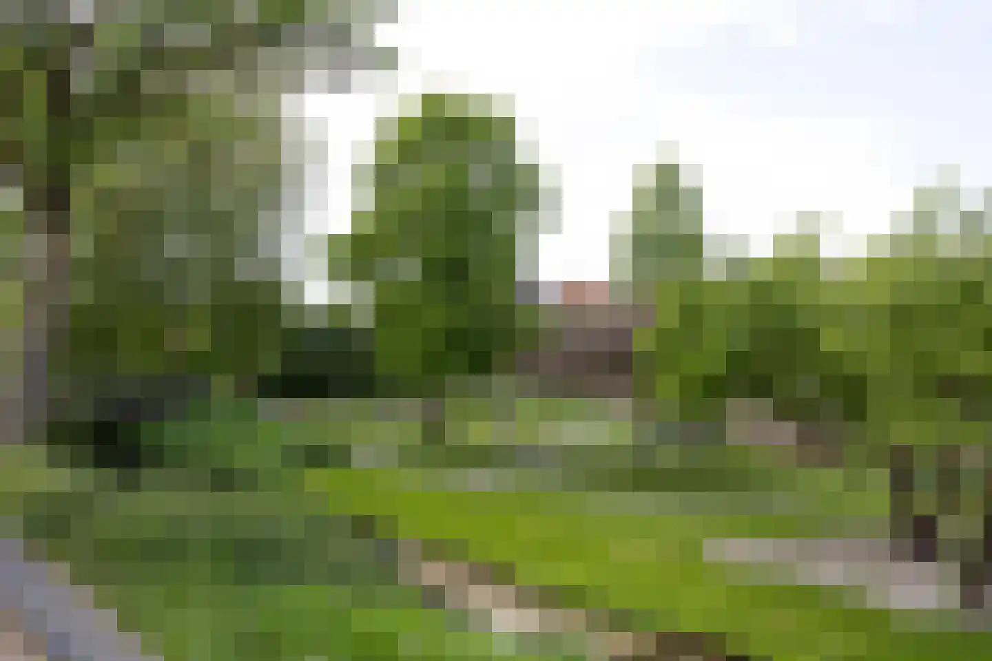 Nieuweweg 49 Hattem thumbnail 42