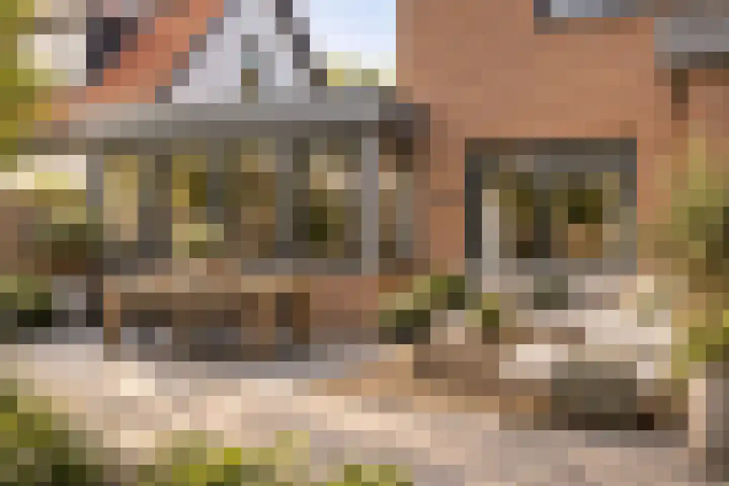 Nieuweweg 49 Hattem thumbnail 5