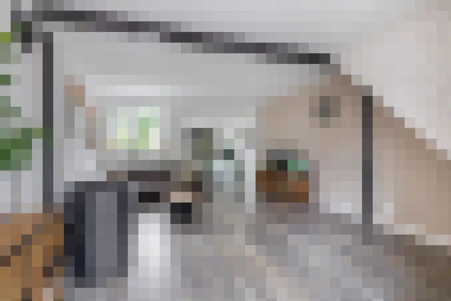 Nieuweweg 5 Ammerstol thumbnail 15