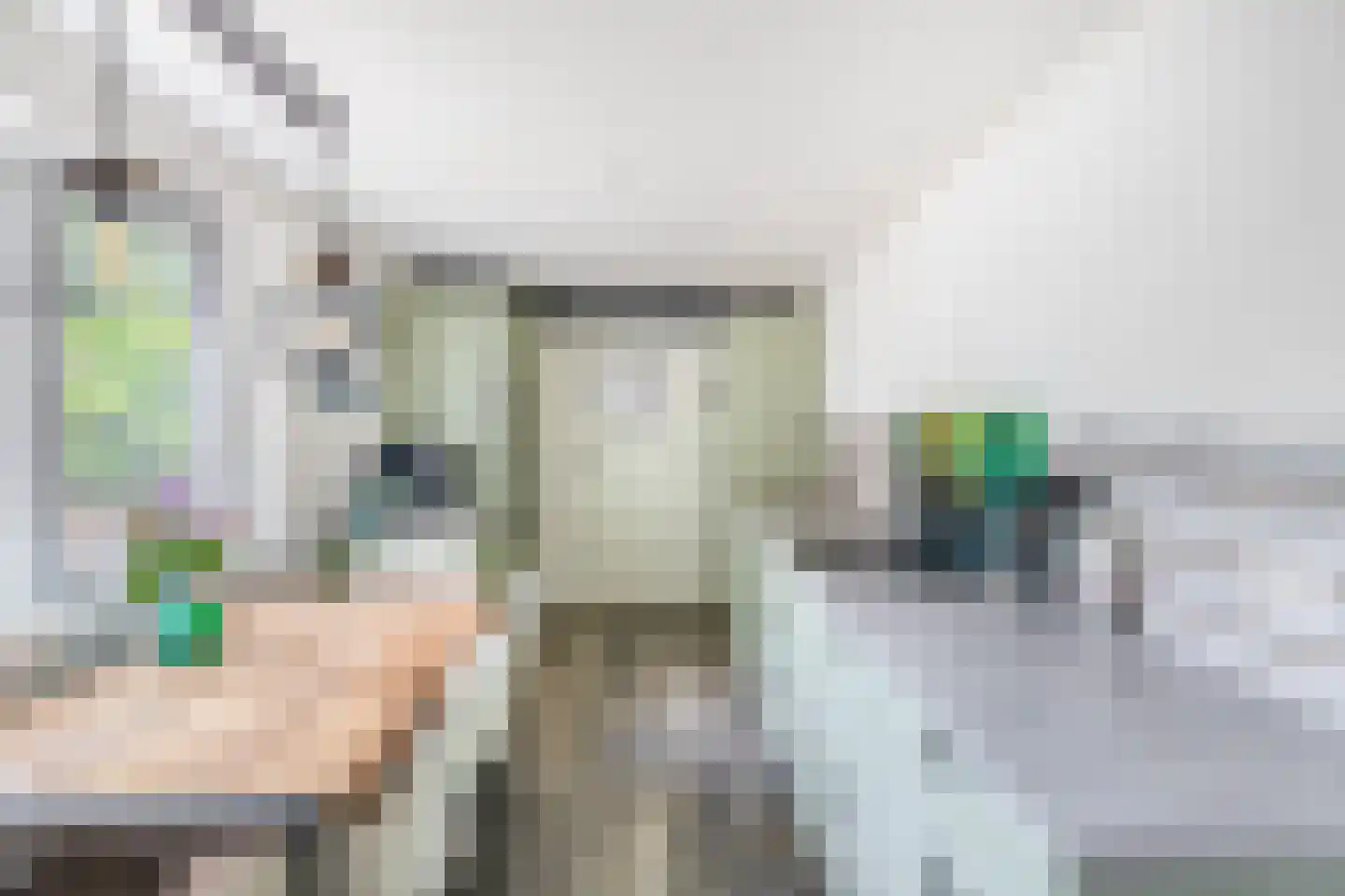 Nieuweweg 5 Ammerstol thumbnail 20