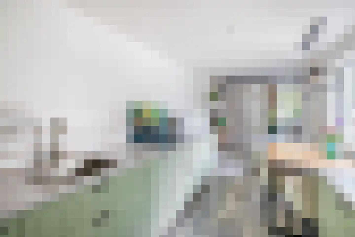 Nieuweweg 5 Ammerstol thumbnail 21