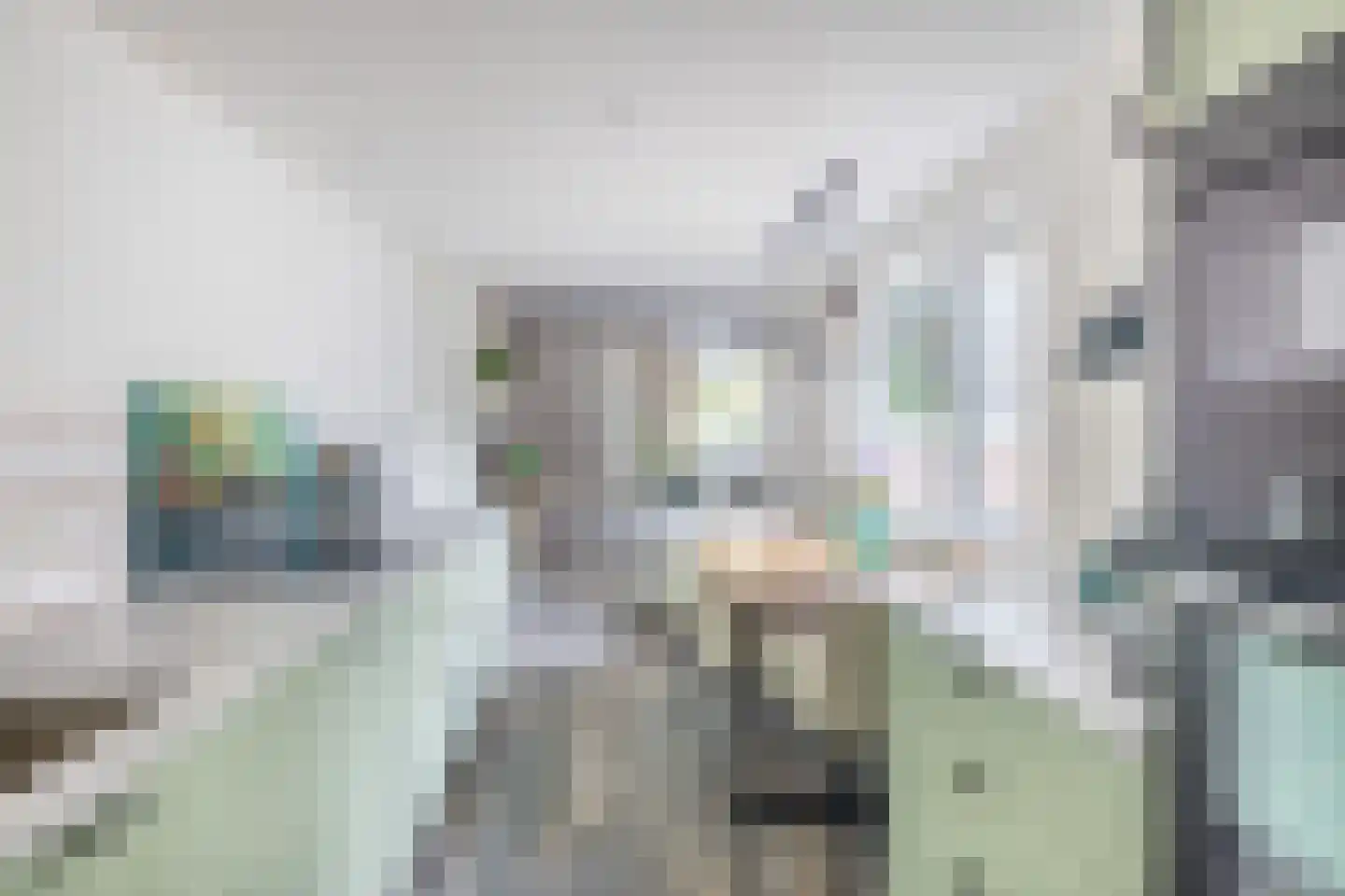 Nieuweweg 5 Ammerstol thumbnail 6