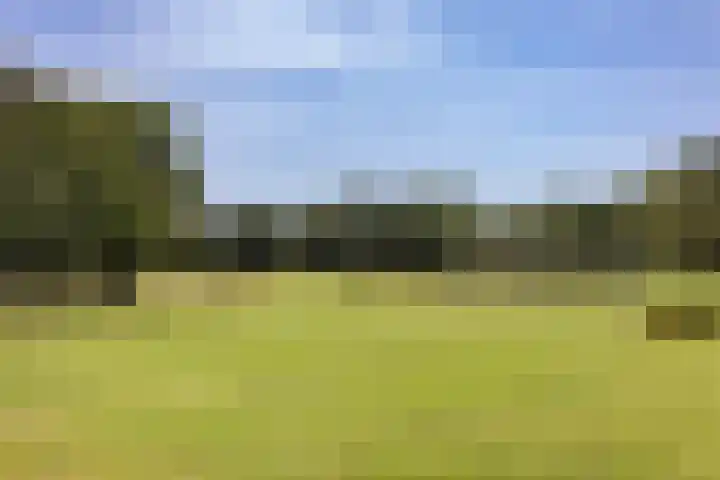 Nieuweweg 5 Anna Paulowna thumbnail 31