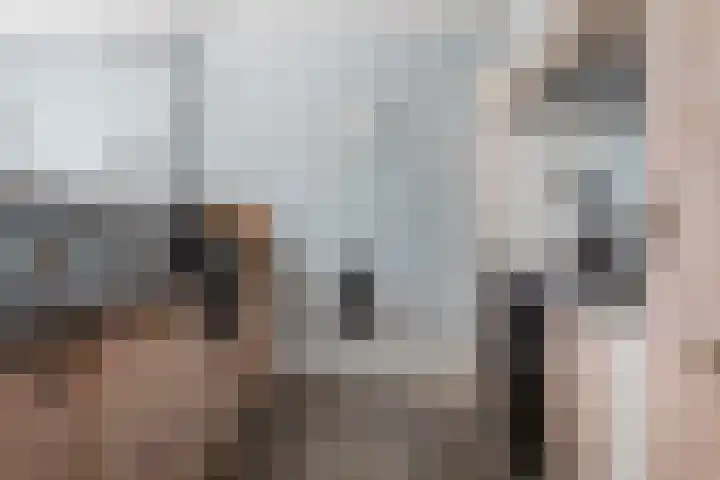 Nieuweweg 5 Anna Paulowna thumbnail 6