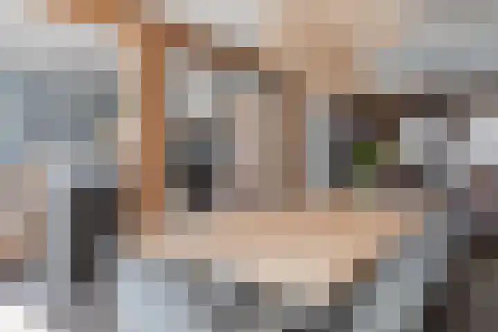 Nieuweweg 5 Anna Paulowna thumbnail 9